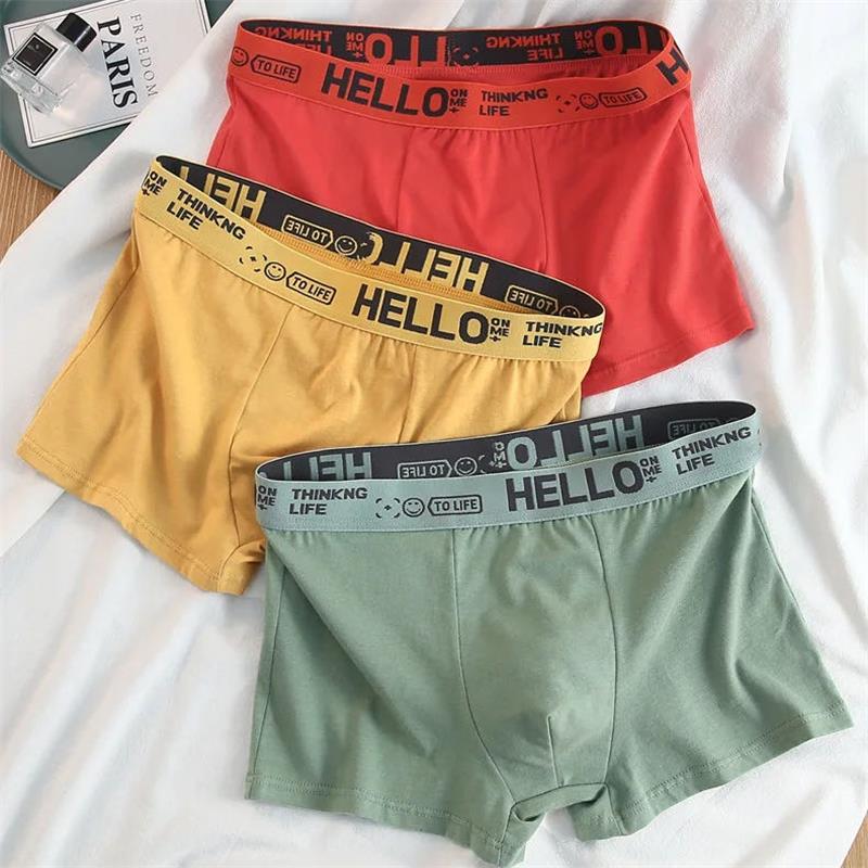 10Pieces/ Men's Underwear Men  - Boxer Brief Pack Cotton incelemesi ve fiyatı