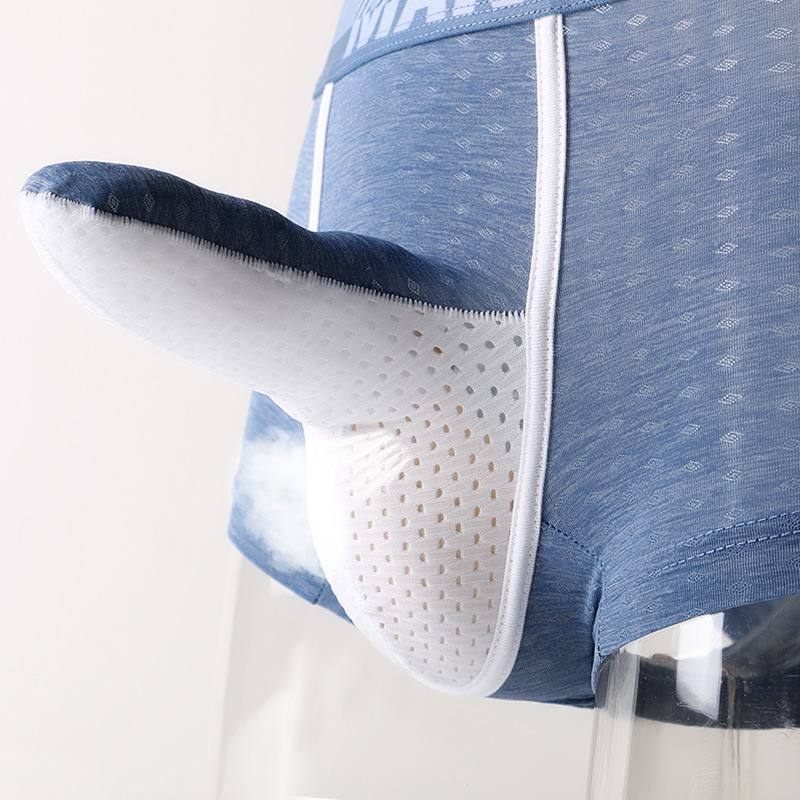 Men's Ice Silk Boxer Briefs, B - Mesh Sport Boxer incelemesi ve fiyatı