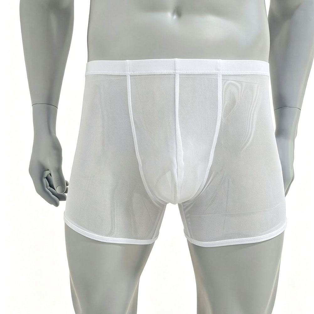 Men Mesh See-through Ultra-thi - Long Leg Trunk Men incelemesi ve fiyatı