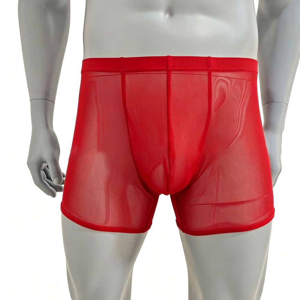 Men Mesh See-through Ultra-thi - Long Leg Trunk Men incelemesi ve fiyatı