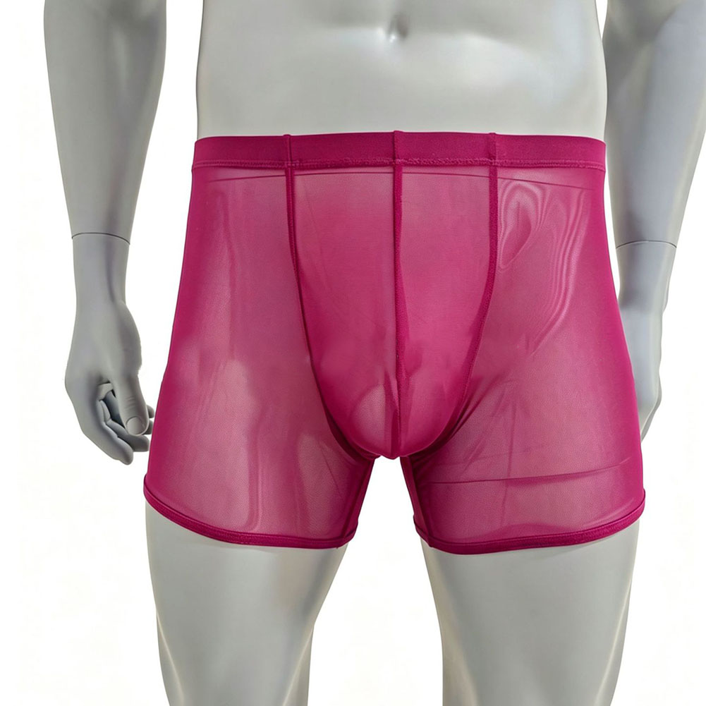 Men Mesh See-through Ultra-thi - Long Leg Trunk Men incelemesi ve fiyatı
