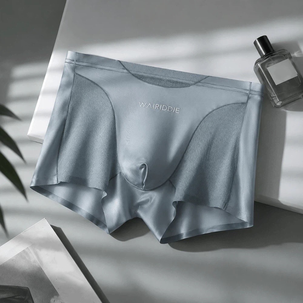 Simple Mesh Ice Silk Underwear - Mesh Sport Boxer incelemesi ve fiyatı